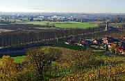 21 Vista sul Santuario Madonna di Prada e il viale alberato